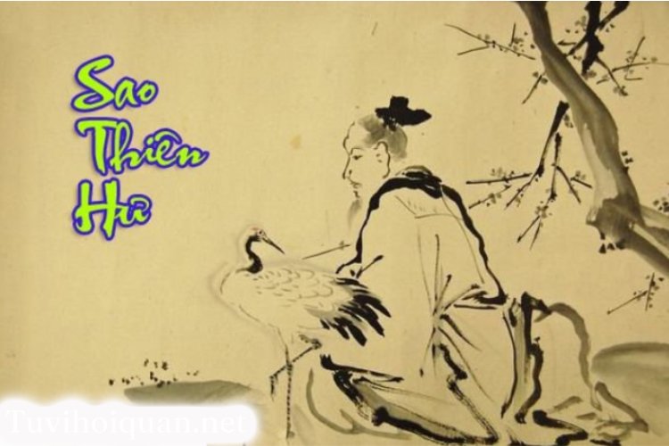 Sao Thiên Hư - Ý Nghĩa Ở Mệnh Và Các Cung Khác Trong Tử Vi Chi Tiết Nhất