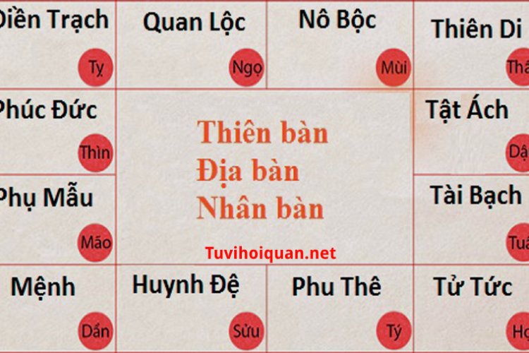 12 cung trong lá số tử vi và chi tiết ý nghĩa của từng cung