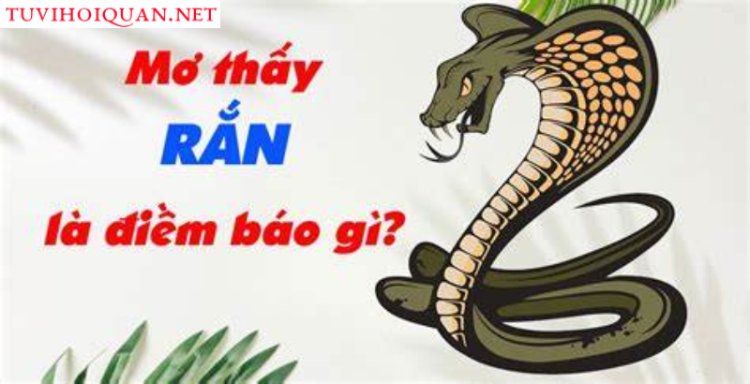 Giải Mã Giấc Mơ Thấy Rắn - Ý Nghĩa Tâm Linh và Điềm Báo Hung Cát chi tiết nhất