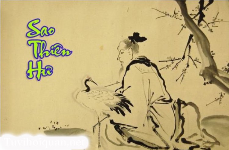 Sao Thiên Hư - Ý Nghĩa Ở Mệnh Và Các Cung Khác Trong Tử Vi Chi Tiết Nhất