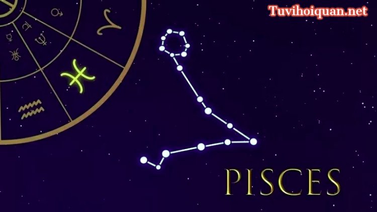 Cung Song Ngư (19/2-20/3): Giải Mã Tình Yêu, Tính Cách Và Sự Nghiệp