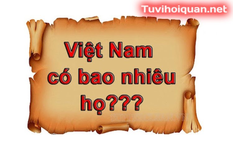 Việt Nam có bao nhiêu họ? Họ nào phổ biến nhất?