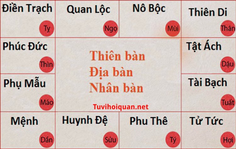 12 cung trong lá số tử vi và chi tiết ý nghĩa của từng cung