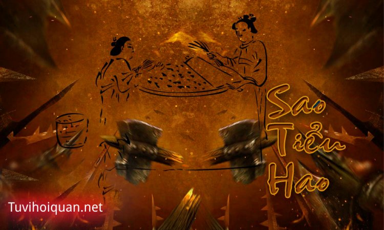 Luận Giải Ý Nghĩa Sao Tiểu Hao Ở Mệnh Và Các Cung Trong Tử Vi Chi Tiết Nhất Mới Cập Nhật