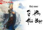 Sao Tả Phù, Hữu Bật -Ý Nghĩa Tại Mệnh Và Cung Khác Chi Tiết