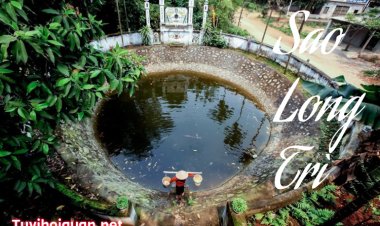 Luận Giải Ý Nghĩa Sao Long Trì Ở Mệnh Và Các Cung Khác Trong Tử Vi Chính Xác Nhất