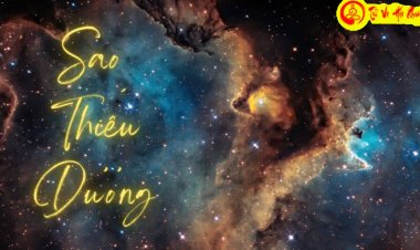 Ý Nghĩa Sao Thiếu Dương Ở Mệnh Và Các Cung Khác Trong Tử Vi Chi Tiết