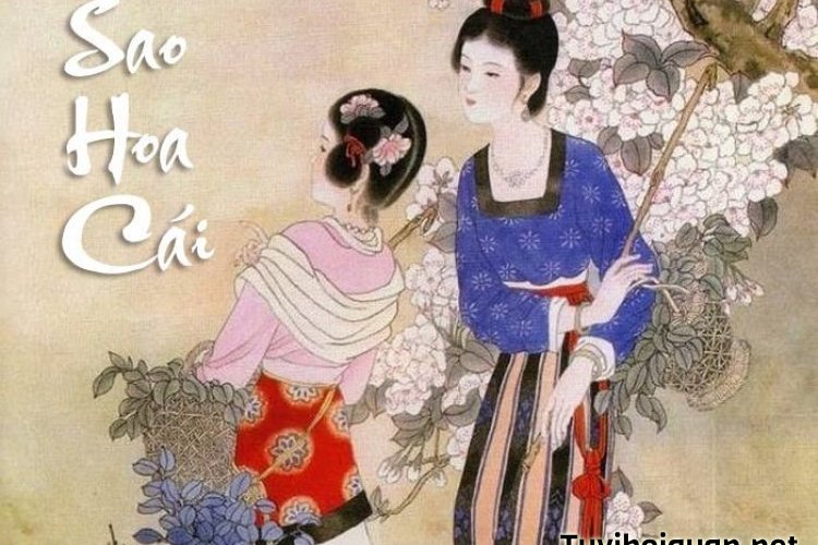 Luận Giải Ý Nghĩa Sao Hoa Cái Tại Mệnh Và Cung Khác Chi Tiết