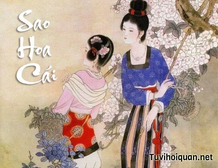 Luận Giải Ý Nghĩa Sao Hoa Cái Tại Mệnh Và Cung Khác Chi Tiết
