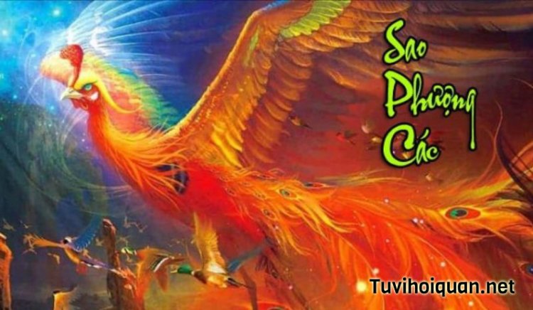 Luận Giải Ý Nghĩa Sao Phượng Các Tại Mệnh Và Cung Khác Trong Tử Vi Chi Tiết