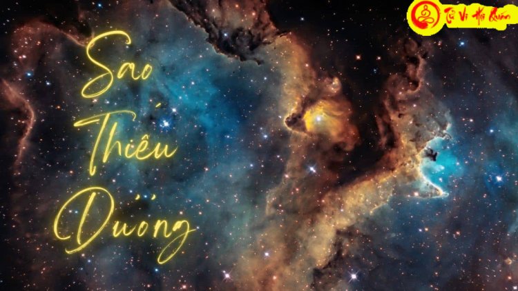 Ý Nghĩa Sao Thiếu Dương Ở Mệnh Và Các Cung Khác Trong Tử Vi Chi Tiết