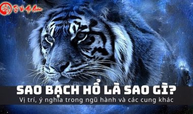 Luận Giải Ý Nghĩa Sao Bạch Hổ Ở Mệnh Và Các Cung Trong Tử Vi Chi Tiết Nhất Mới Cập Nhật