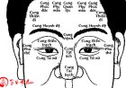 Giải mã nhân tướng học trên gương mặt qua 12 cung