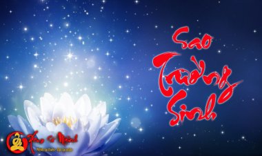 Luận Giải Ý Nghĩa Sao Trường Sinh Tại Mệnh Và Các Cung Khác Trong Tử Vi Chi Tiết