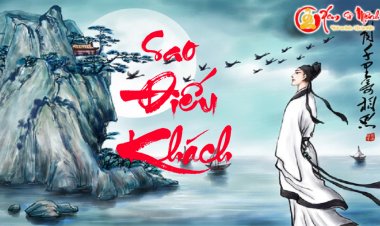 Luận Giải Ý Nghĩa Sao Điếu Khách Tại Mệnh và Các Cung Khác Trong Tử Vi Chi Tiết