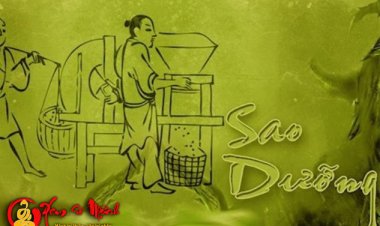 Luận Giải Ý Nghĩa Sao Dưỡng Trong Tử Vi Chi Tiết