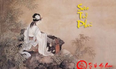 Luận Giải Ý Nghĩa Sao Tử Phù Ở Mệnh Và Các Cung Khác Chi Tiết