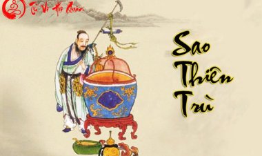 Luận Giải Ý Nghĩa Sao Thiên Trù Ở Mệnh Và Các Cung Trong Tử Vi Chi Tiết