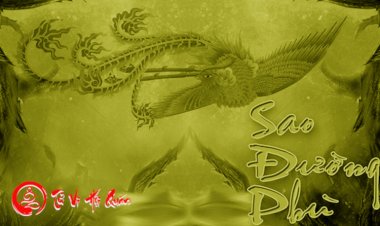 Luận Giải Ý Nghĩa Sao Đường Phù Tại Mệnh Và Các Cung Khác Chi Tiết