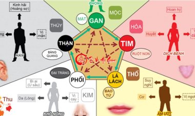 Khám Phá Ngũ Hành Ngũ Tạng Trong Đông Y Giúp Chăm Sóc Sức Khỏe Chi Tiết Nhất