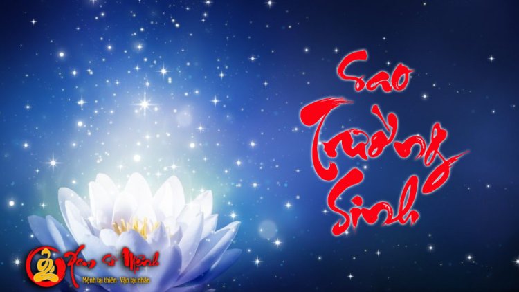 Luận Giải Ý Nghĩa Sao Trường Sinh Tại Mệnh Và Các Cung Khác Trong Tử Vi Chi Tiết