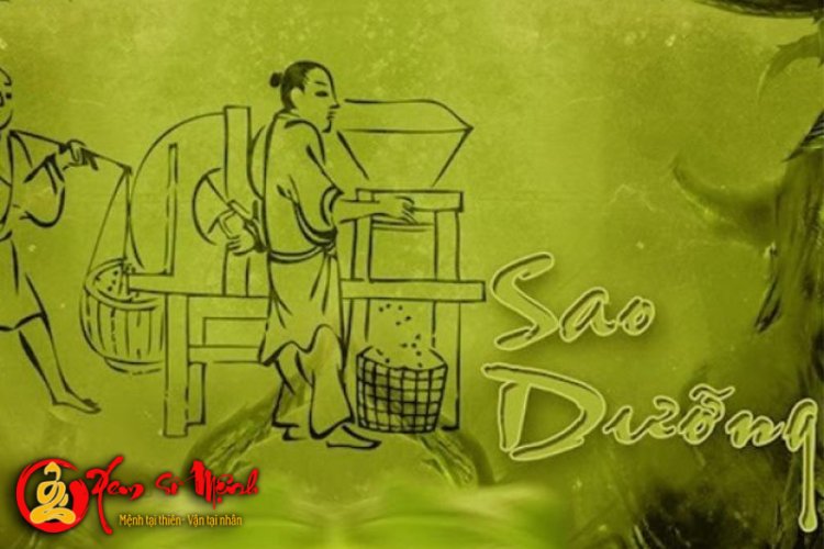 Luận Giải Ý Nghĩa Sao Dưỡng Trong Tử Vi Chi Tiết