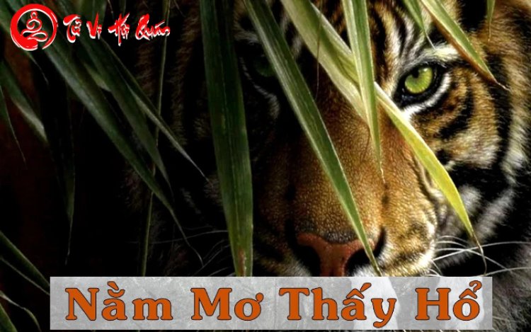 Nằm Mơ Thấy Hổ - Giải Mã Ý Nghĩa Đầy Đủ Và Chính Xác