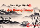 Luận giải bộ sao Âm Dương Lương (Thiếu Âm- Thái Dương- Thiên Lương)