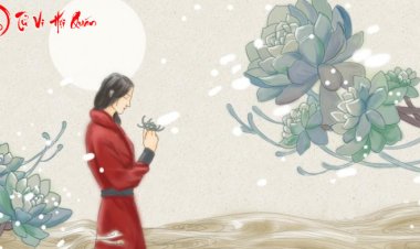 Những Bộ Sao Dâm Tinh, Ái Tình & Ngoại Tình Trong Tử Vi