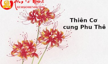 Thiên Cơ nhập cung Phu Thê