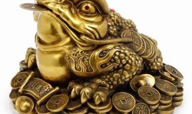 Vị Trí Đặt Bảo Vật Phong Thủy Đảm Bảo Tiền Vào Như Nước