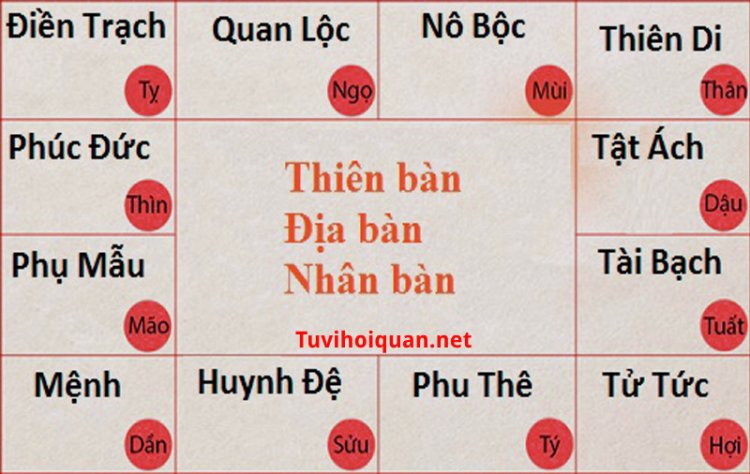Ý Nghĩa 12 Cung Trong Khoa Tử Vi Chi Tiết, Dễ Hiểu