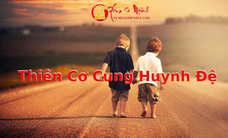 Thiên Cơ Nhập Cung Huynh Đệ Có Ý Nghĩa Như Thế Nào