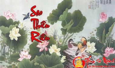 Sao Thiên Riêu - Ý nghĩa ở Mệnh và các cung khác chi tiết