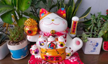 Cách Đặt Mèo May Mắn Hợp Phong Thủy Như Thế Nào?