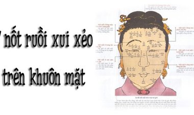 Bật Mí 7 Nốt Ruồi Xui Xẻo Trên Mặt Dễ Gặp Thị Phi, Tiểu Nhân Đeo Bám