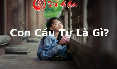 Con Cầu Tự Là Gì? Con Cầu Tự Có Khó Nuôi Như Lời Đồn Hay Không