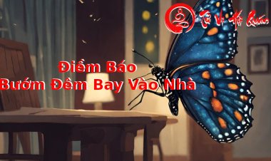 Con Bướm Đêm Bay Vào Nhà - Giải Mã Ý Nghĩa Chuẩn Xác, Chi Tiết  Nhất