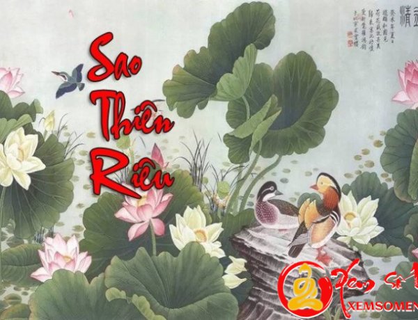 Sao Thiên Riêu - Ý nghĩa ở Mệnh và các cung khác chi tiết