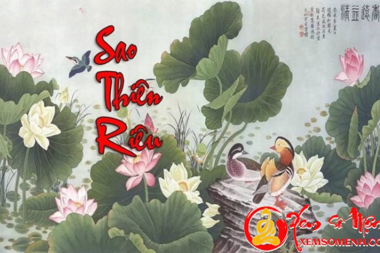 Sao Thiên Riêu - Ý nghĩa ở Mệnh và các cung khác chi tiết