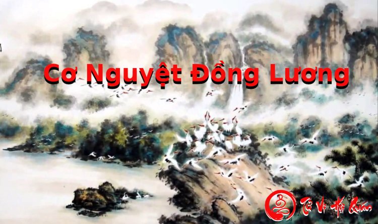 Cơ Nguyệt Đồng Lương (Thiên Cơ- Thái Âm- Thiên Đồng-Thiên Lương)-Đặc điểm và ý nghĩa các sao chi tiết