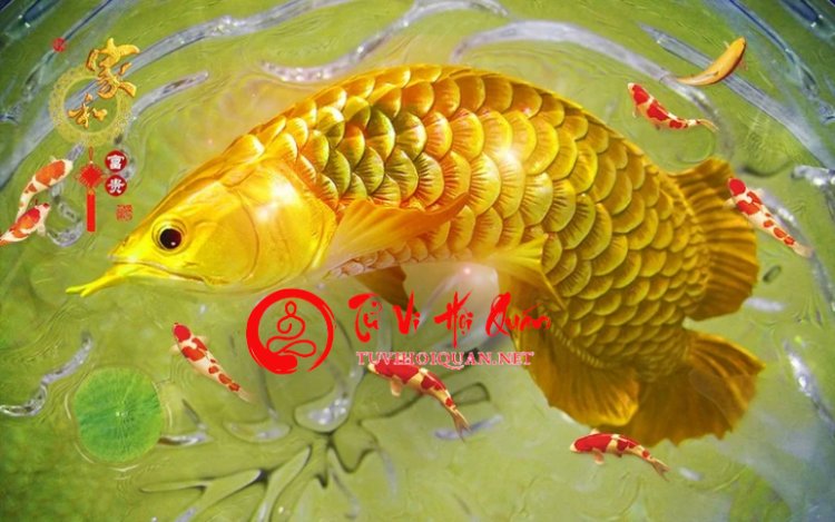 Nằm Mơ Thấy Cá - Giải Mã Ý Nghĩa Chi Tiết