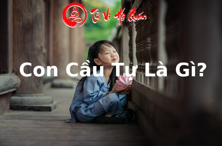 Con Cầu Tự Là Gì? Con Cầu Tự Có Khó Nuôi Như Lời Đồn Hay Không