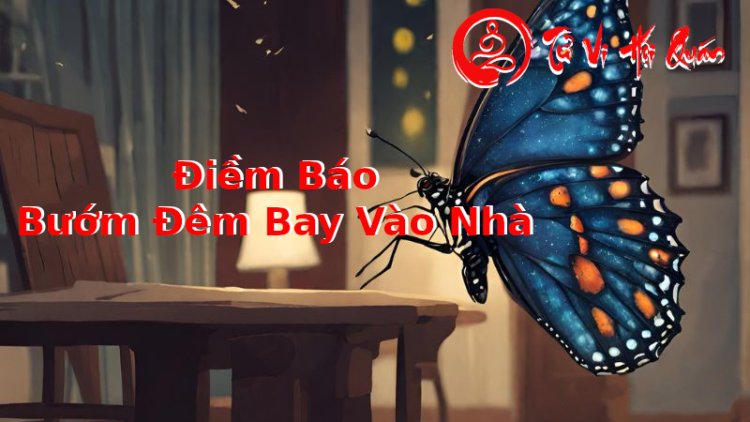 Con Bướm Đêm Bay Vào Nhà - Giải Mã Ý Nghĩa Chuẩn Xác, Chi Tiết  Nhất