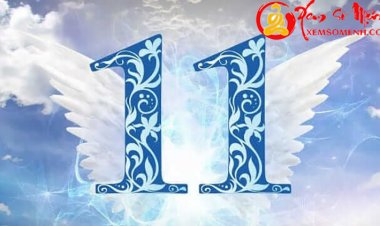 Giải Mã Ý Nghĩa Của Con Số 11 Trong Phong Thủy Chi Tiết Nhất