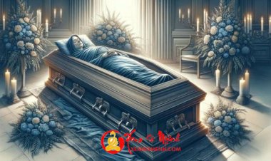 Nằm Mơ Thấy Xác Chết - Giải Mã Ý Nghĩa Chi Tiết Nhất