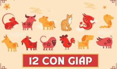 Giải mã 12 giáp: tên gọi, ý nghĩa, đặc tính không phải ai cũng biết