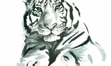 Giải mã vận mệnh người tuổi Bính Dần theo Lục Thập Hoa Giáp