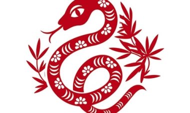 Giải mã vận mệnh người tuổi Kỷ Tỵ theo Lục Thập Hoa Giáp