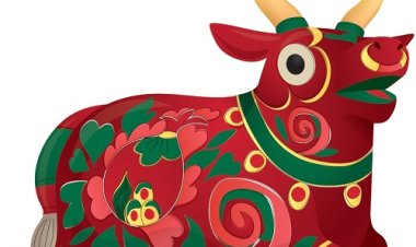 Giải mã vận mệnh người tuổi Đinh Sửu theo Lục Thập Hoa Giáp